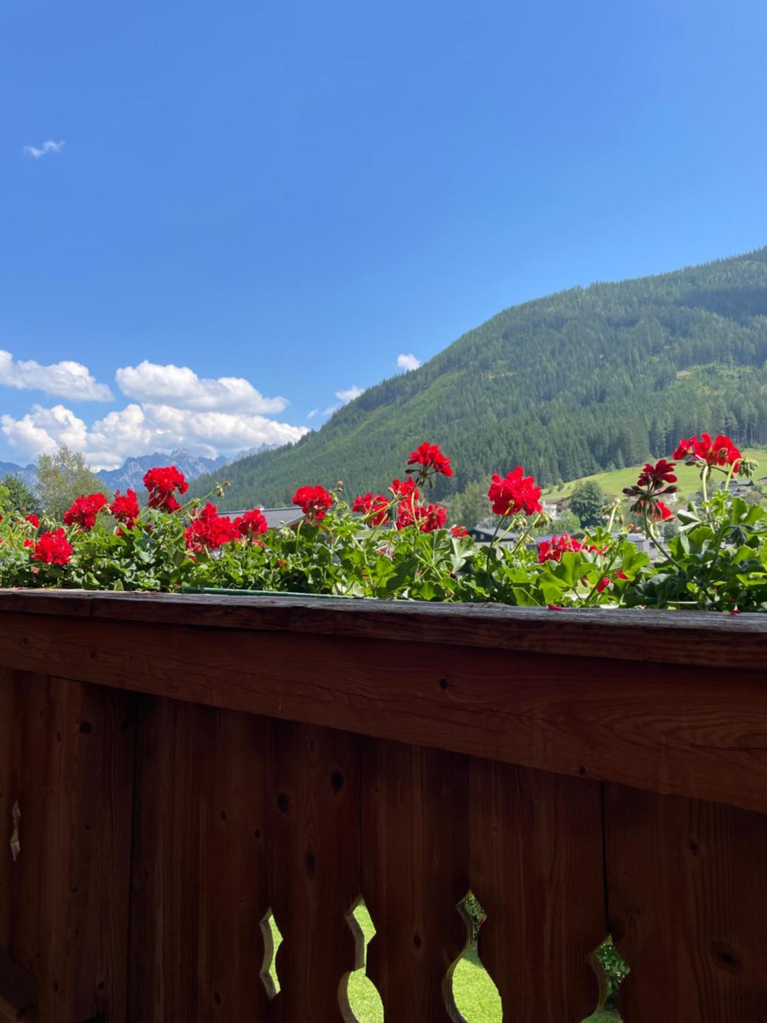 Wimmhof Apartment Sankt Martin am Tennengebirge Exterior foto